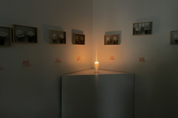 Фото - Елизавета Галушко