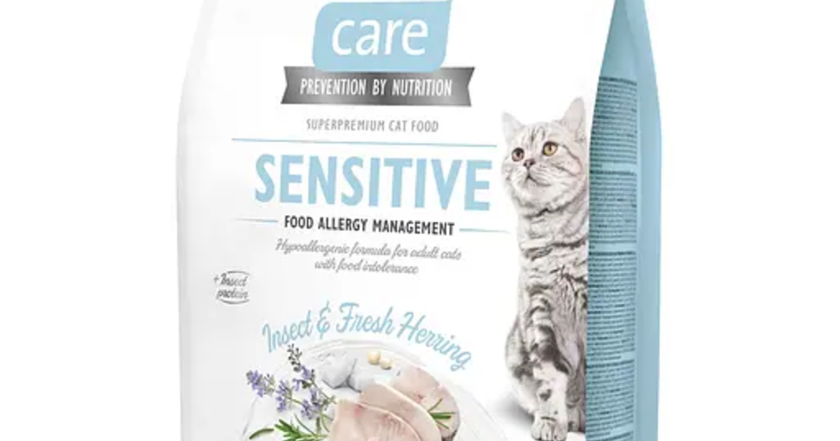 Питание для кошек: как выбрать лучший корм?