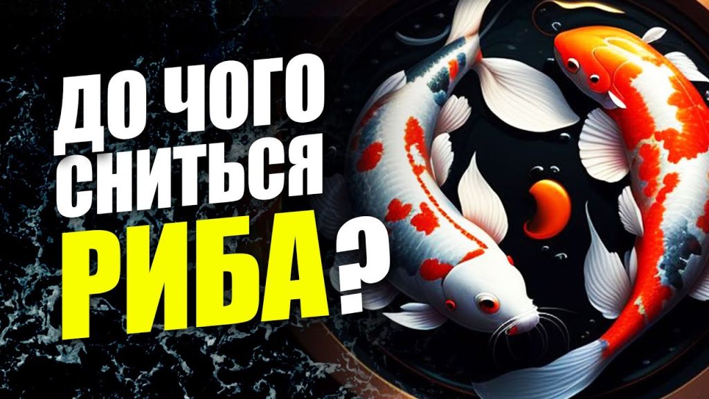 До Чого Сниться Риба: подробная биография, личная жизнь и карьера