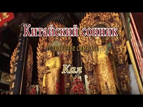 К Чему Снится Кал Женщине: Значение и Толкование Снов