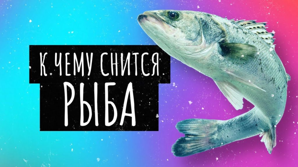 К Чему Снится Рыба: значение сна и его толкования