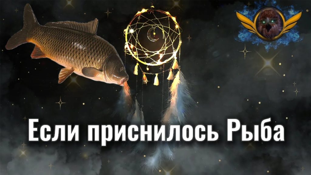 К Чему Снится Рыба: значение сна и его толкования