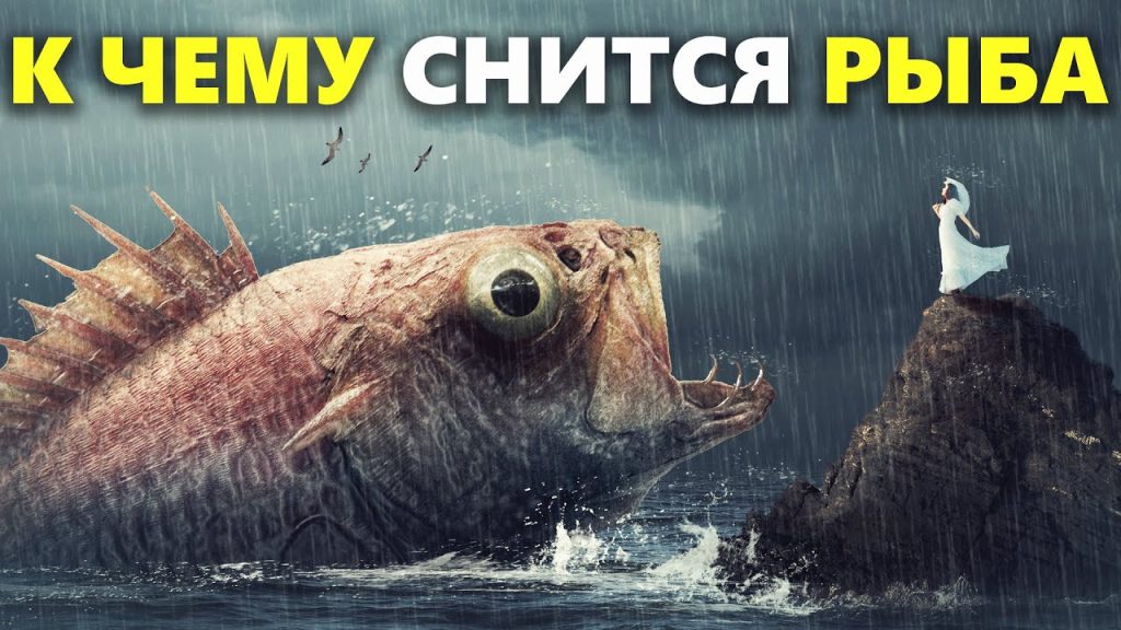 К Чему Снится Рыба: значение сна и его толкования